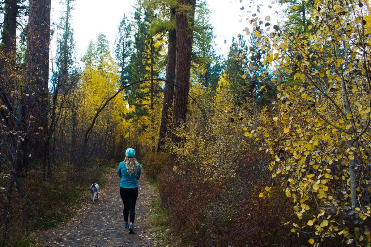 Shevlin Park - Tumalo Creek Trail to Shevlin Loop Trail Hike Image