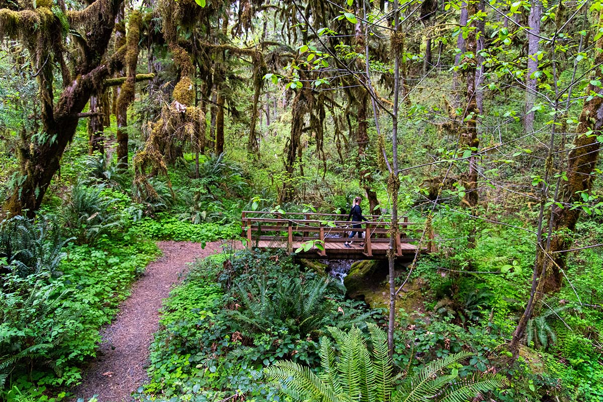 Soda Creek Falls Hike Image