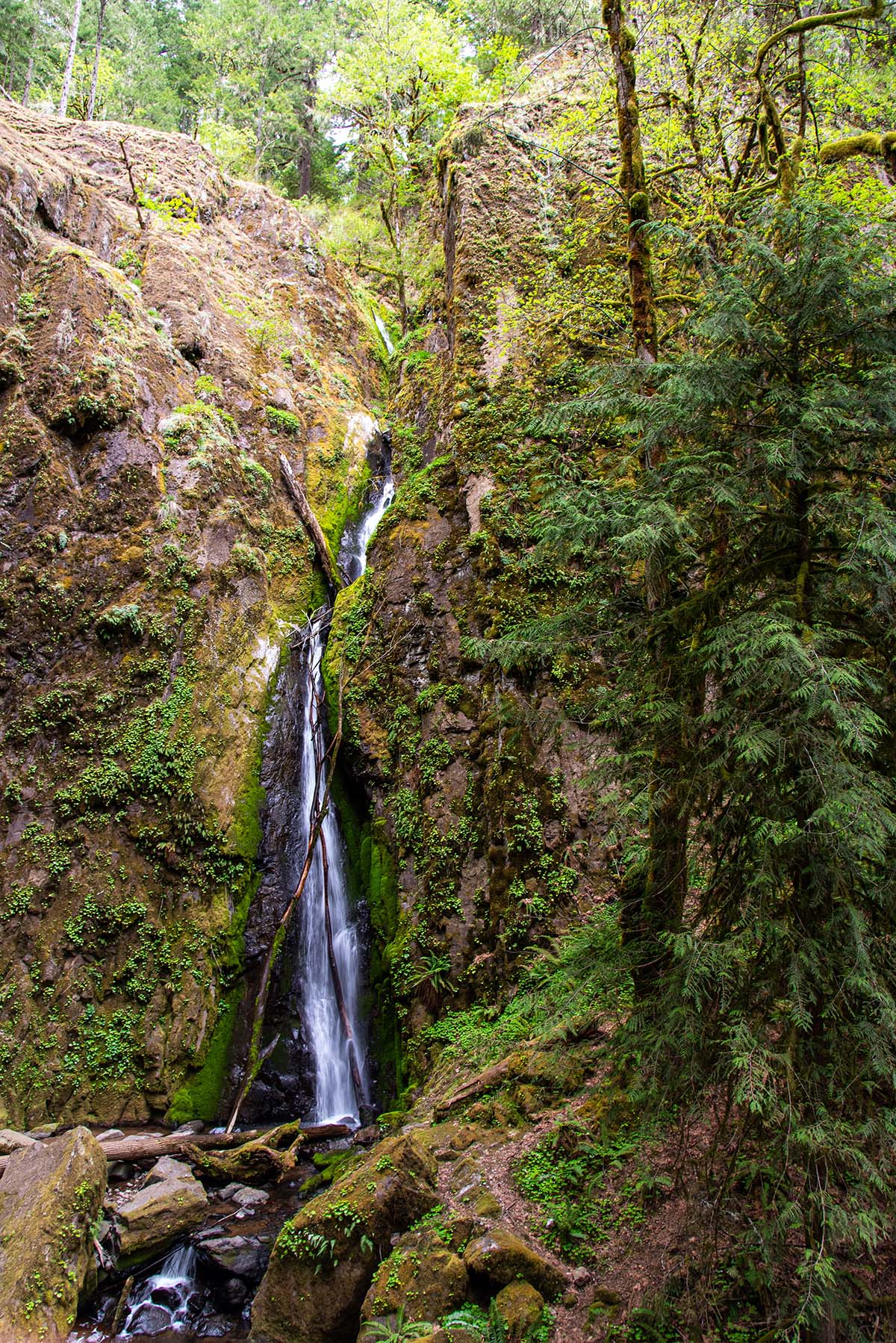 Soda Creek Falls Hike Image
