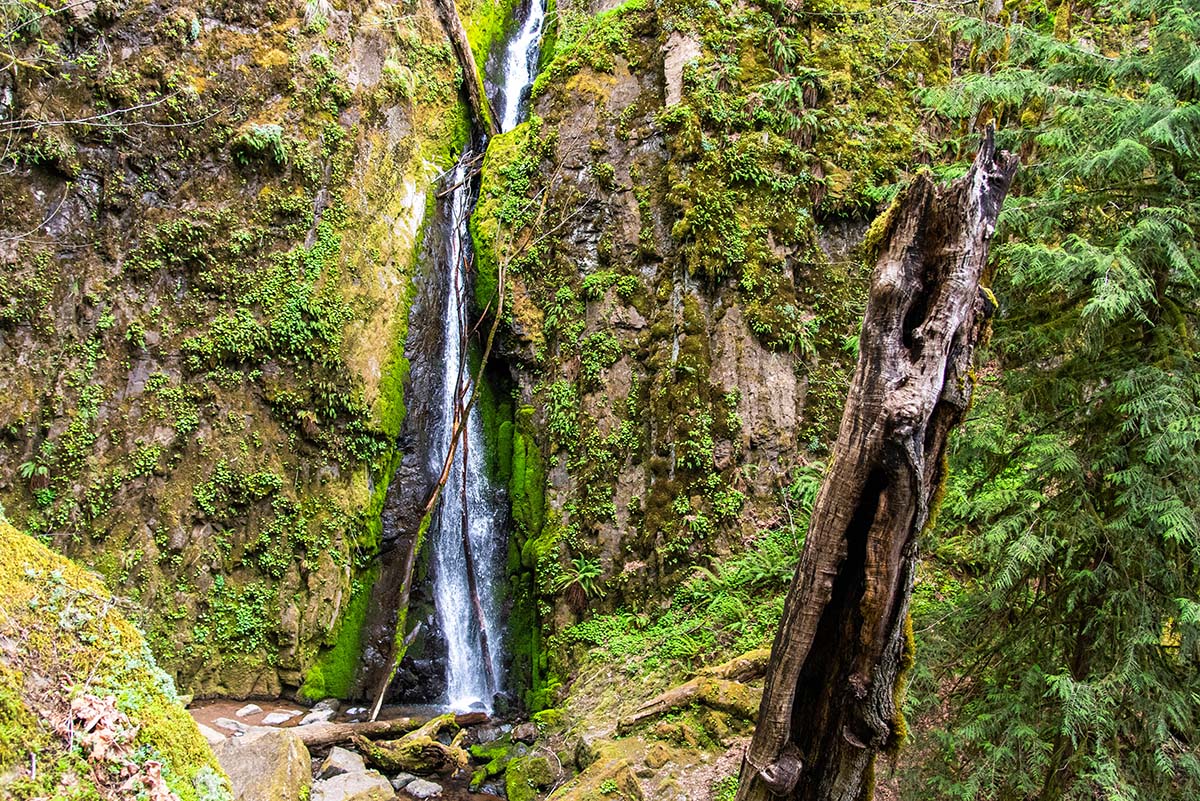 Soda Creek Falls Hike Image