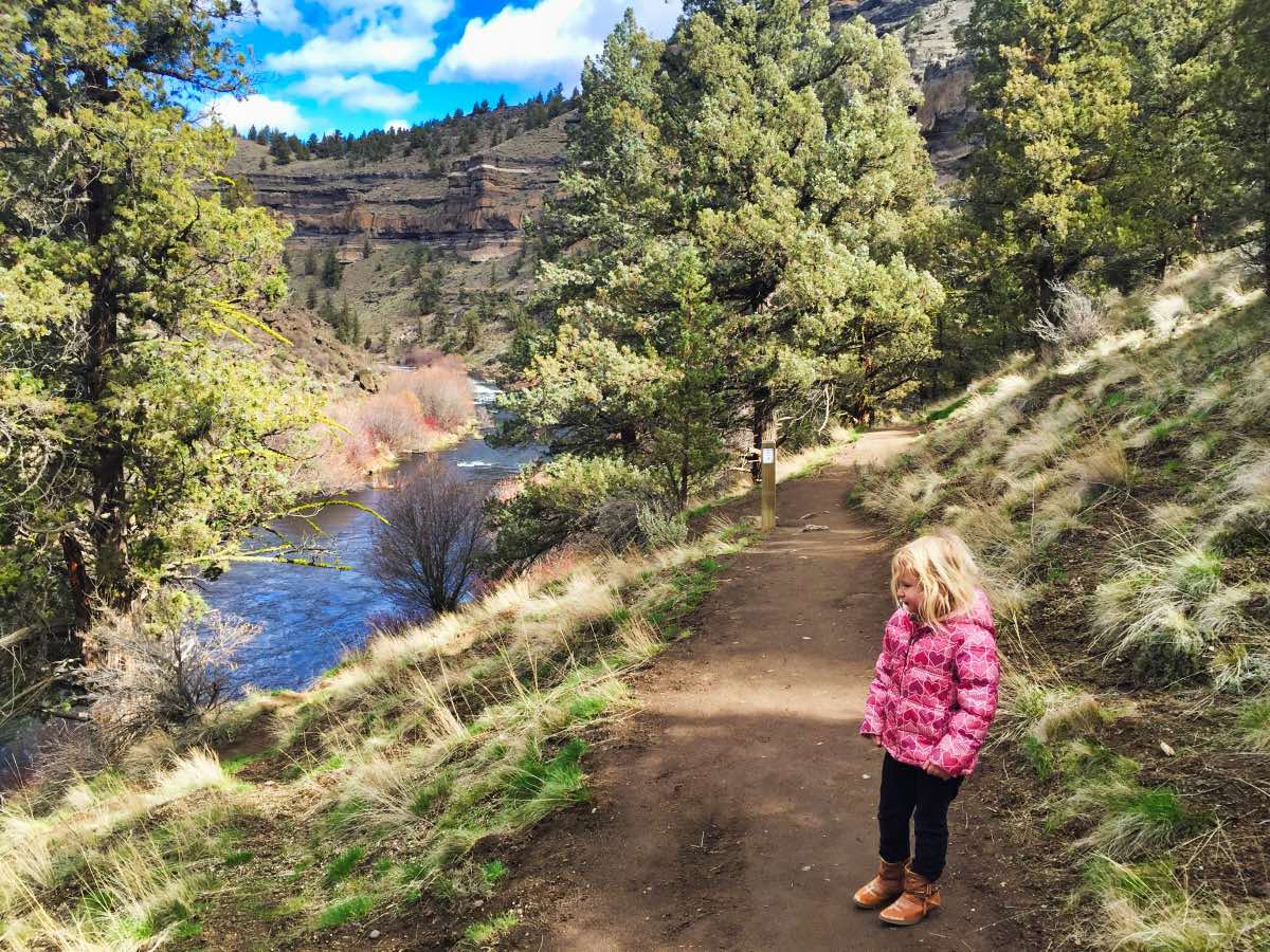 Steelhead Falls Hike Image