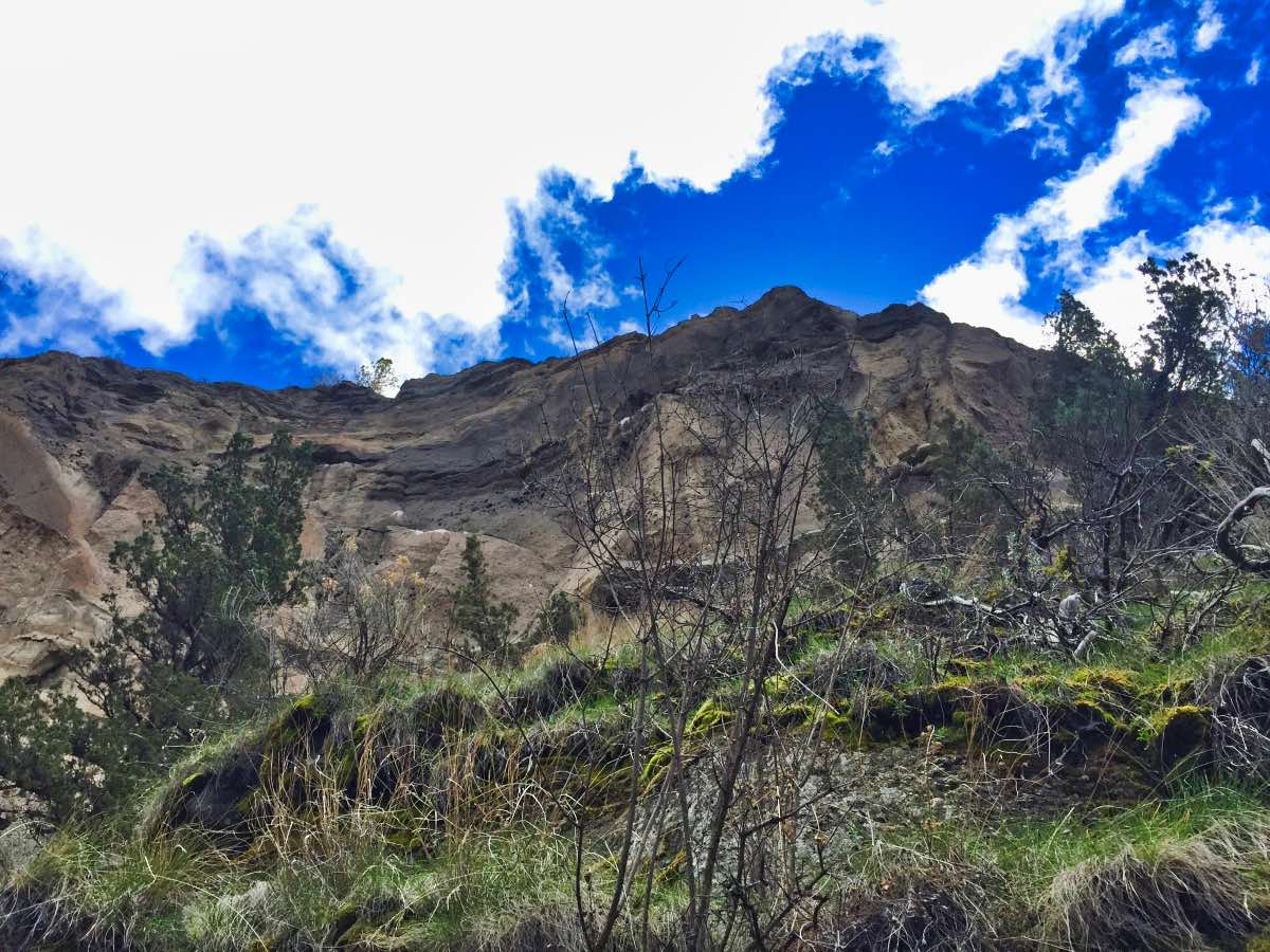 Steelhead Falls Hike Image