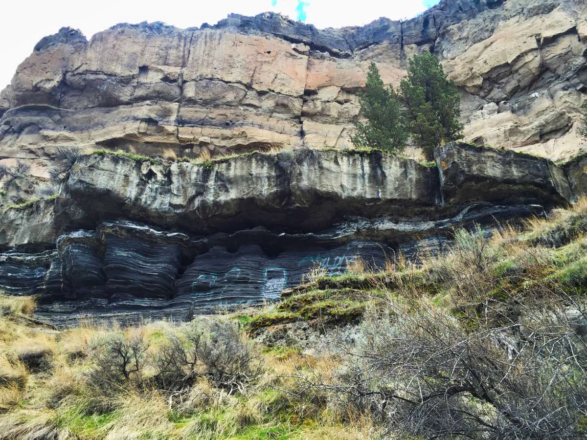 Steelhead Falls Hike Image