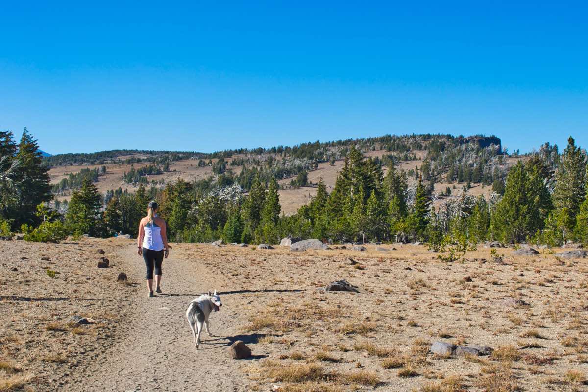 Tam McArthur Rim Hike Image