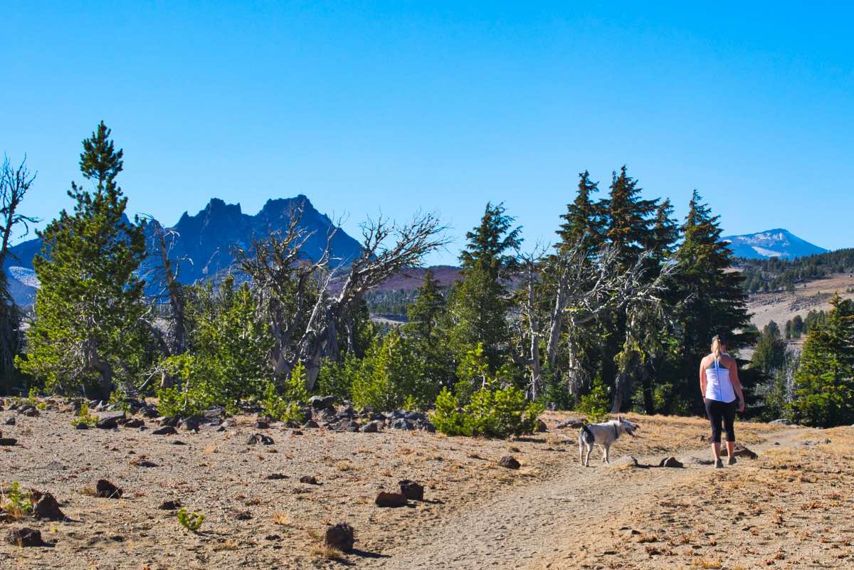 Tam McArthur Rim Hike Image