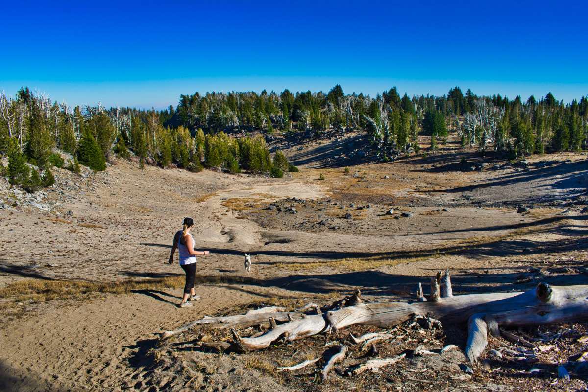 Tam McArthur Rim Hike Image