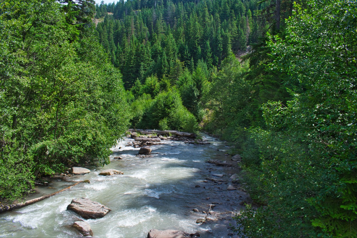 Tamanawas Falls Hike Image