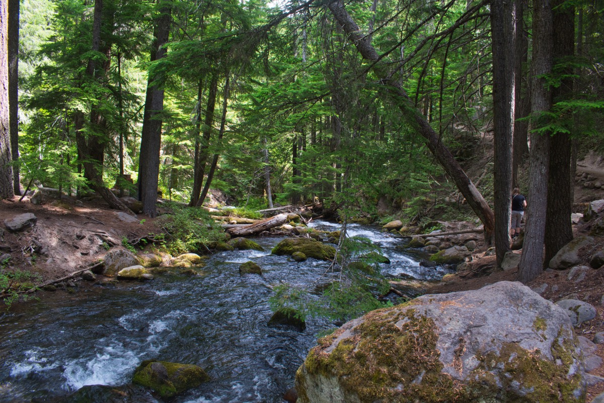 Tamanawas Falls Hike Image