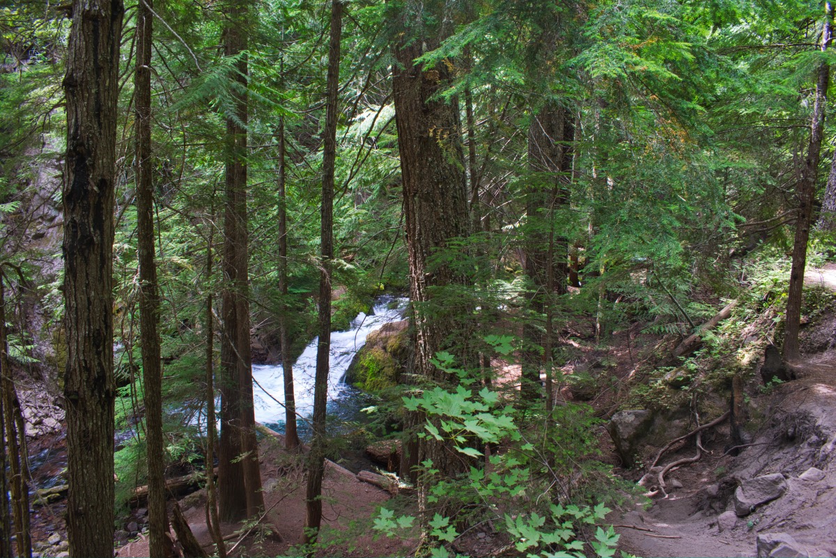 Tamanawas Falls Hike Image