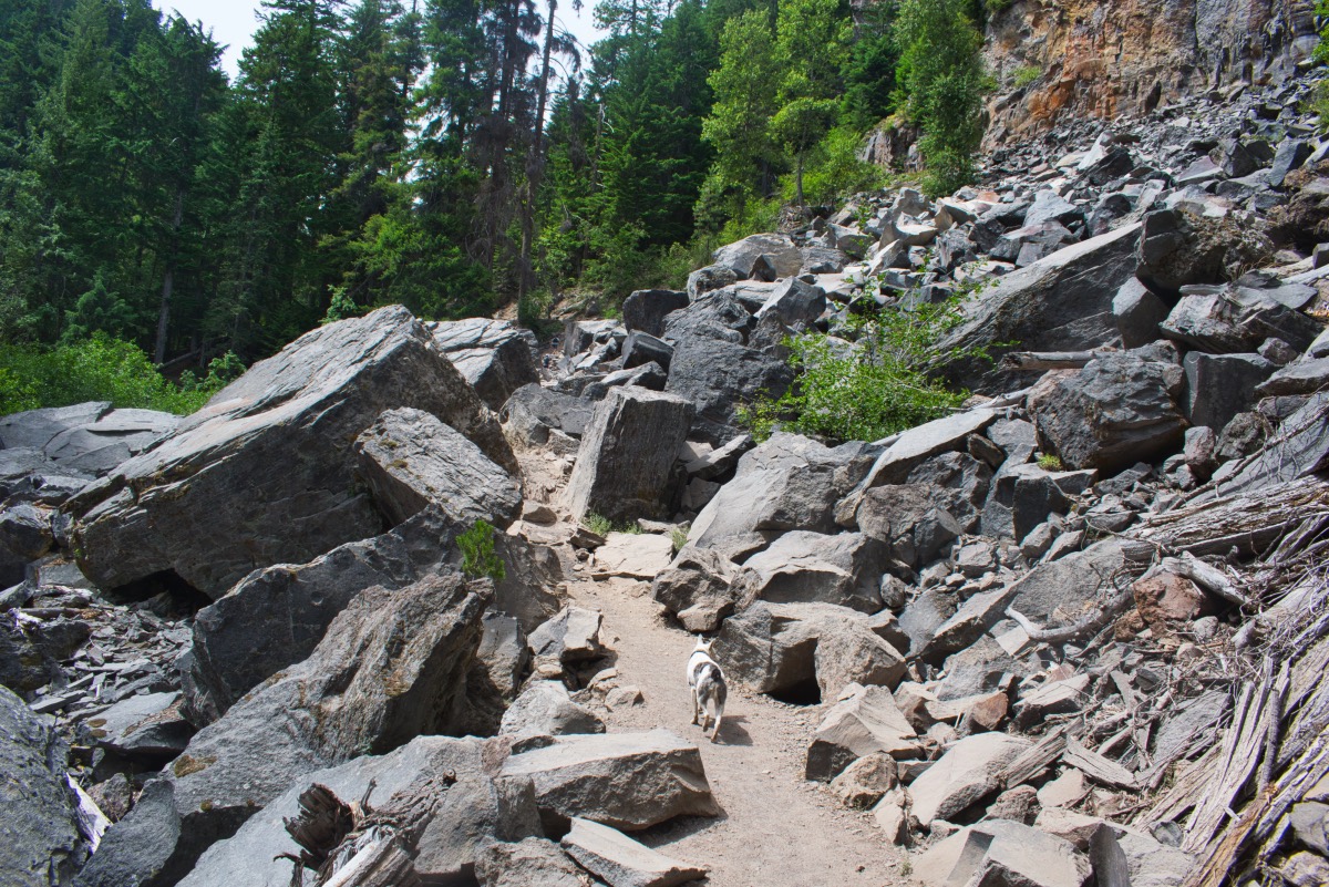 Tamanawas Falls Hike Image