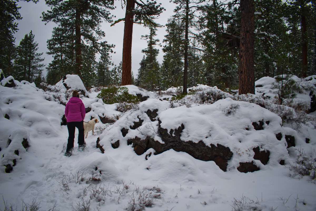 Tesla Loop Hike Image