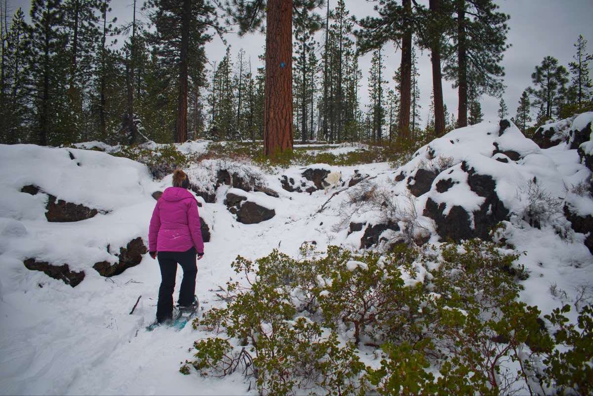 Tesla Loop Hike Image