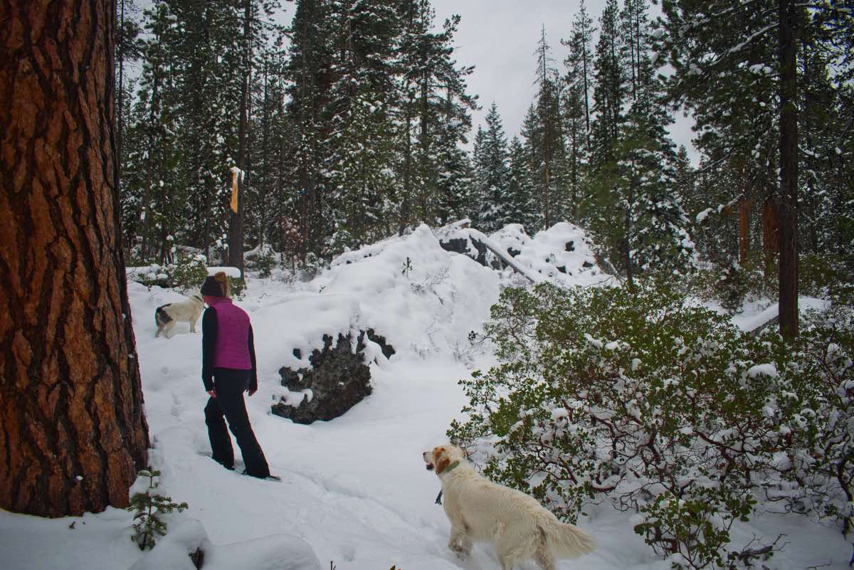 Tesla Loop Hike Image