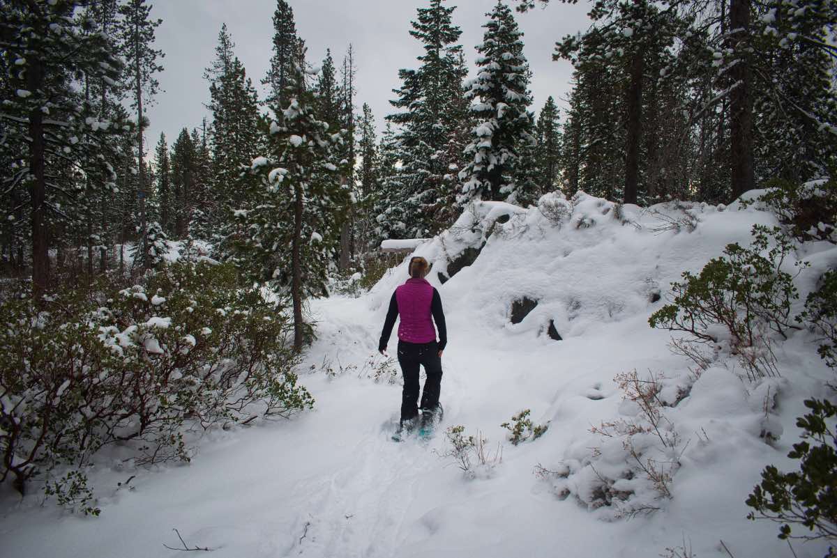 Tesla Loop Hike Image