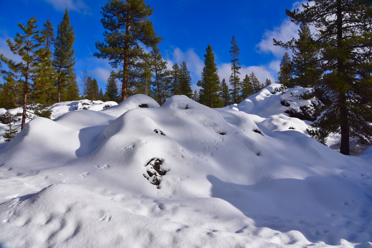 Tesla Loop Hike Image