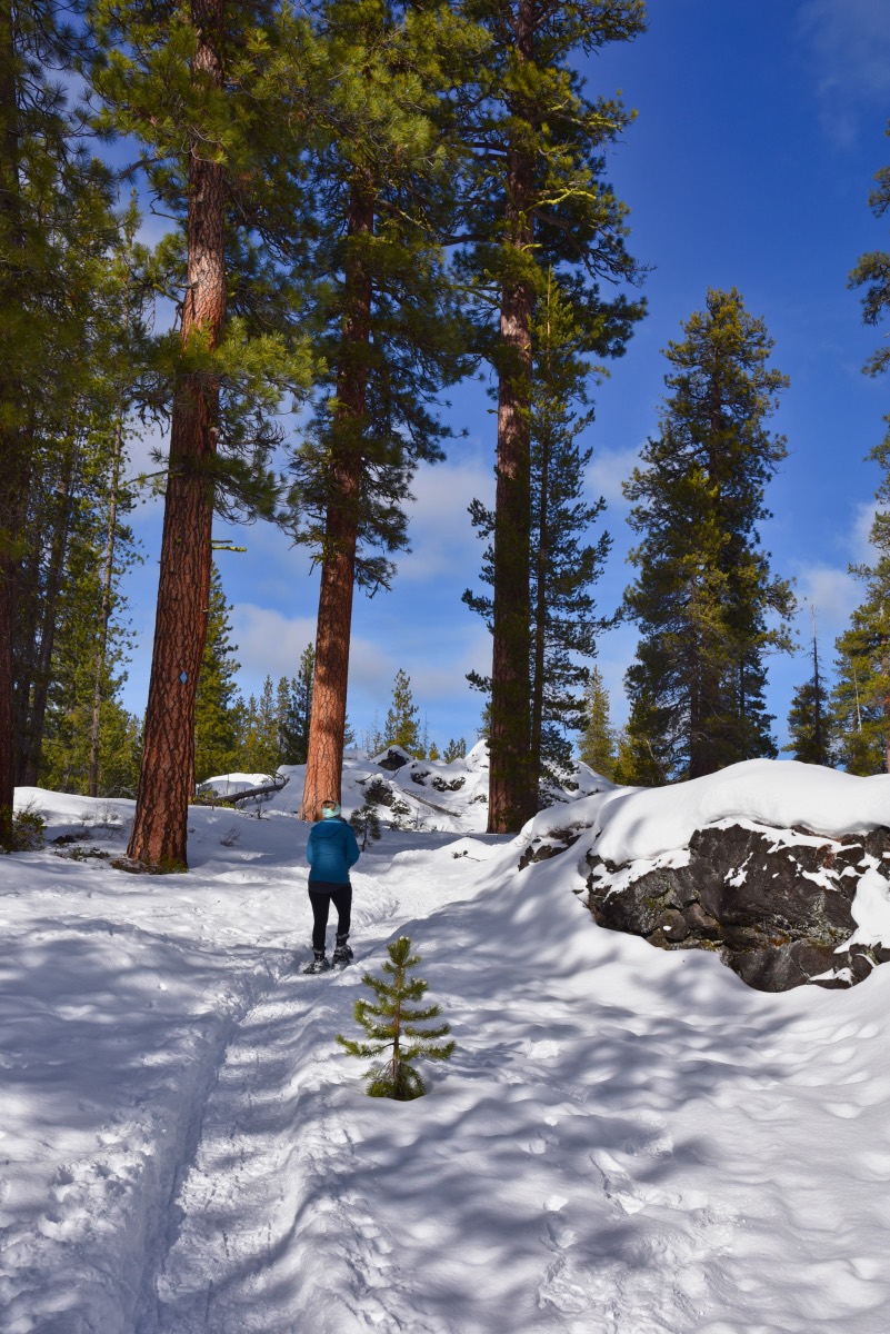 Tesla Loop Hike Image