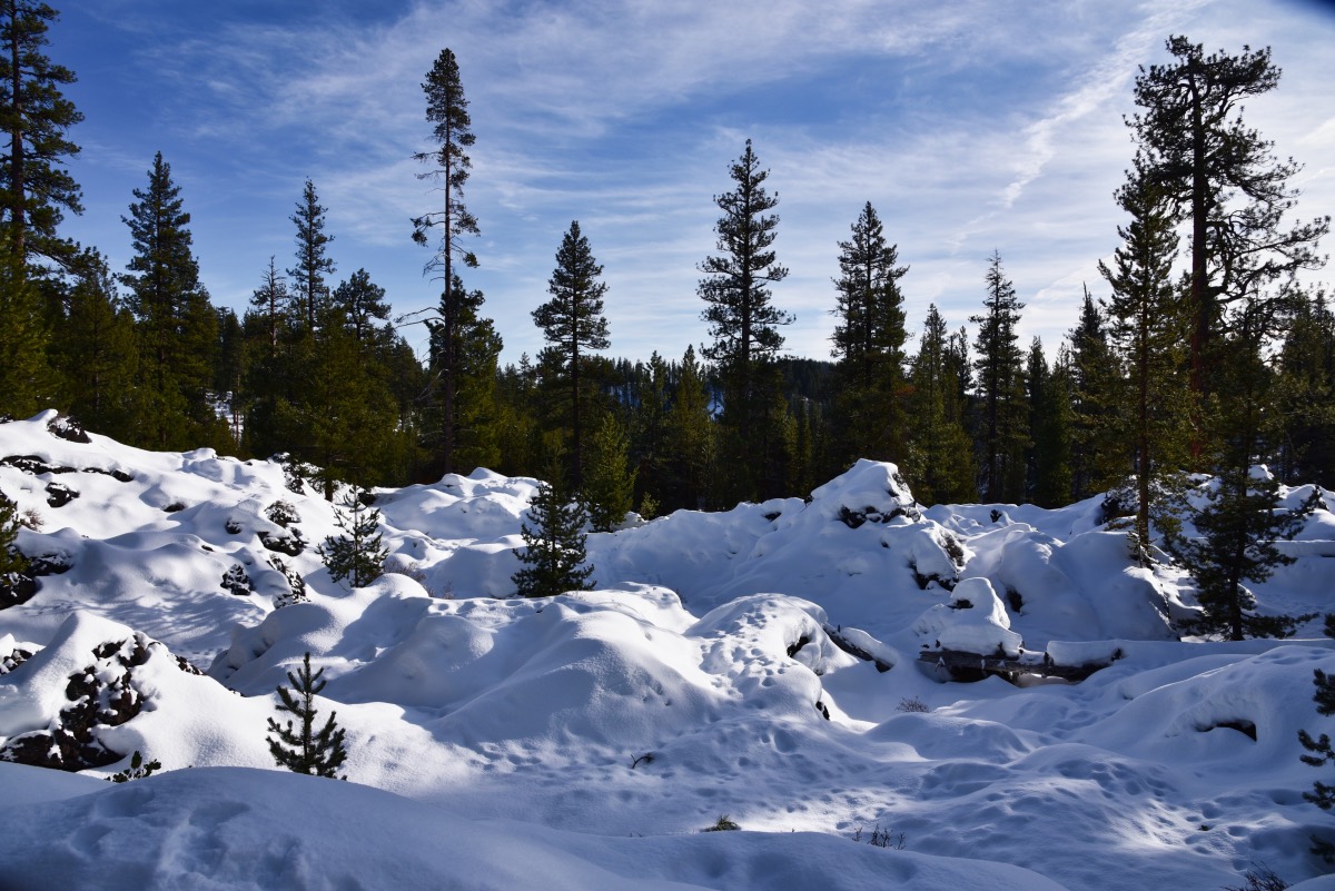 Tesla Loop Hike Image