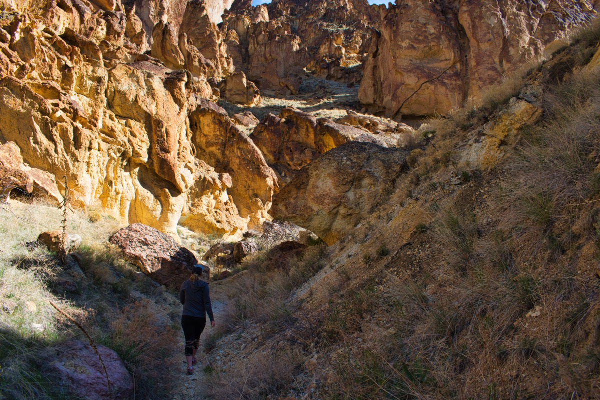 Timber Gulch Hike Image