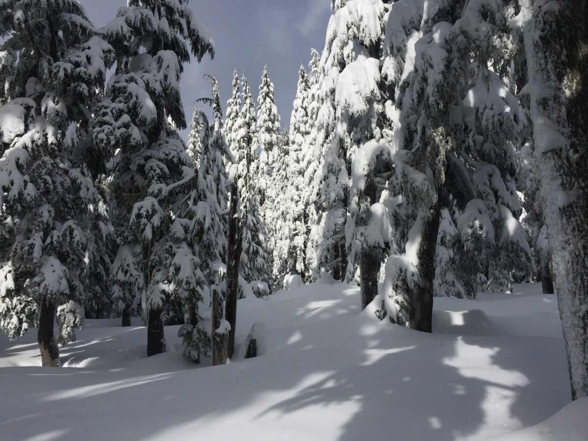 Todd Lake Hike Image