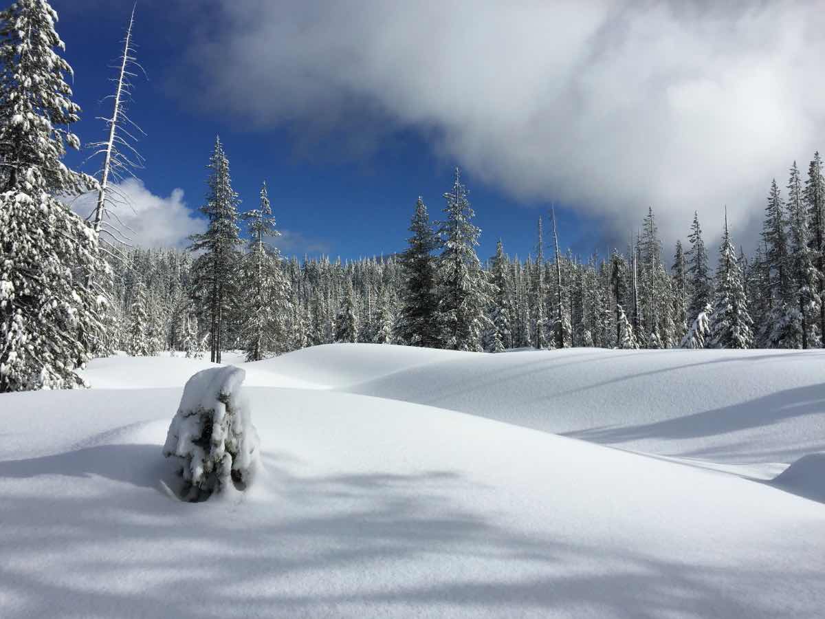 Todd Lake Hike Image