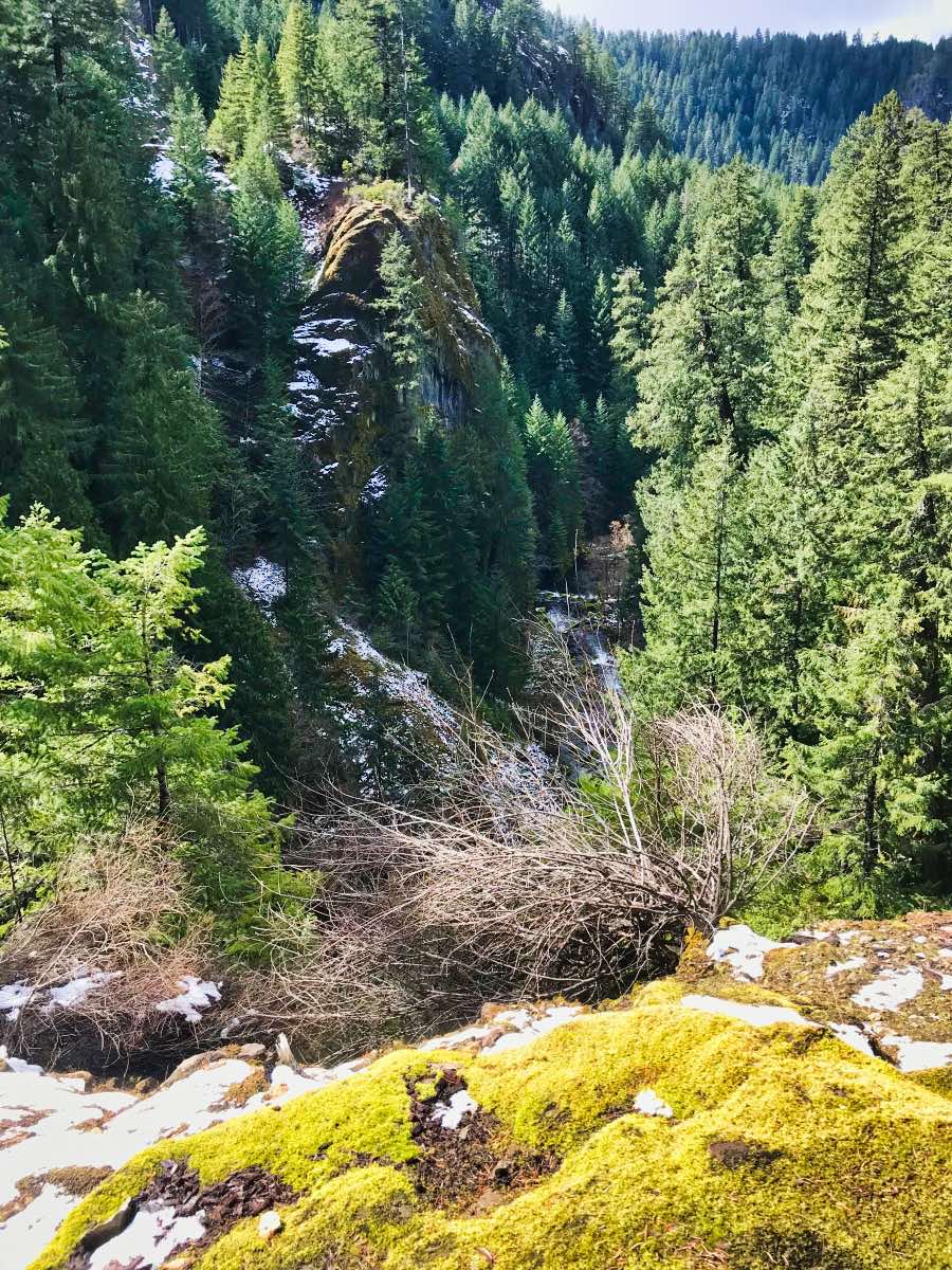 Tokatee Falls Hike Image