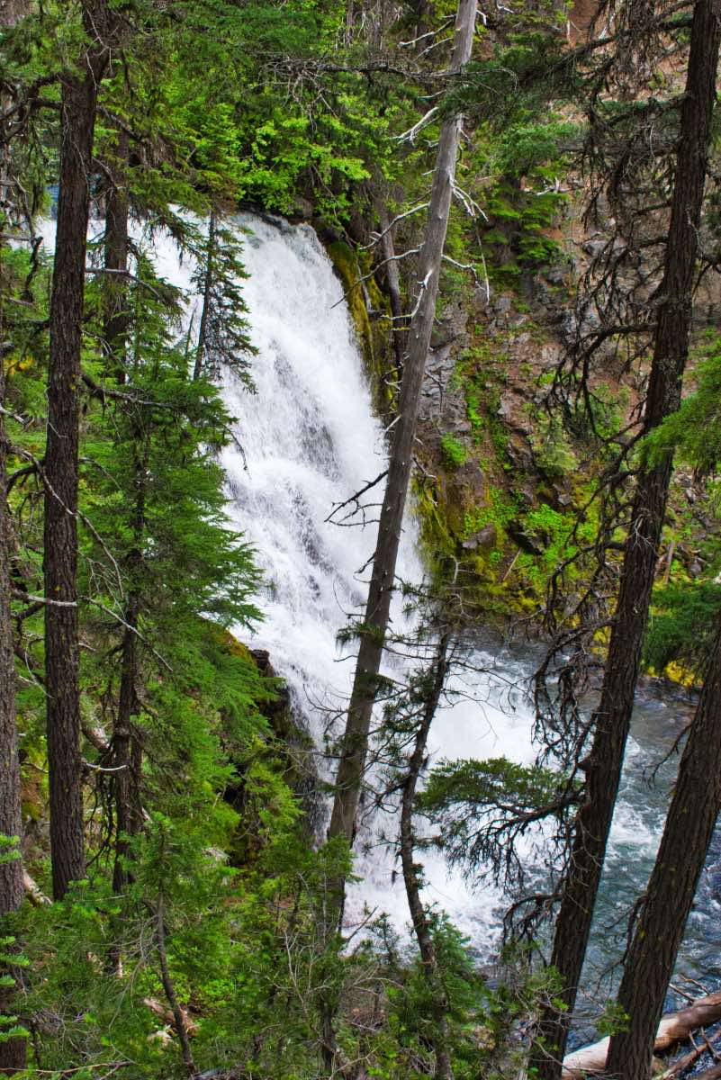 Tumalo Falls Loop Hike Image