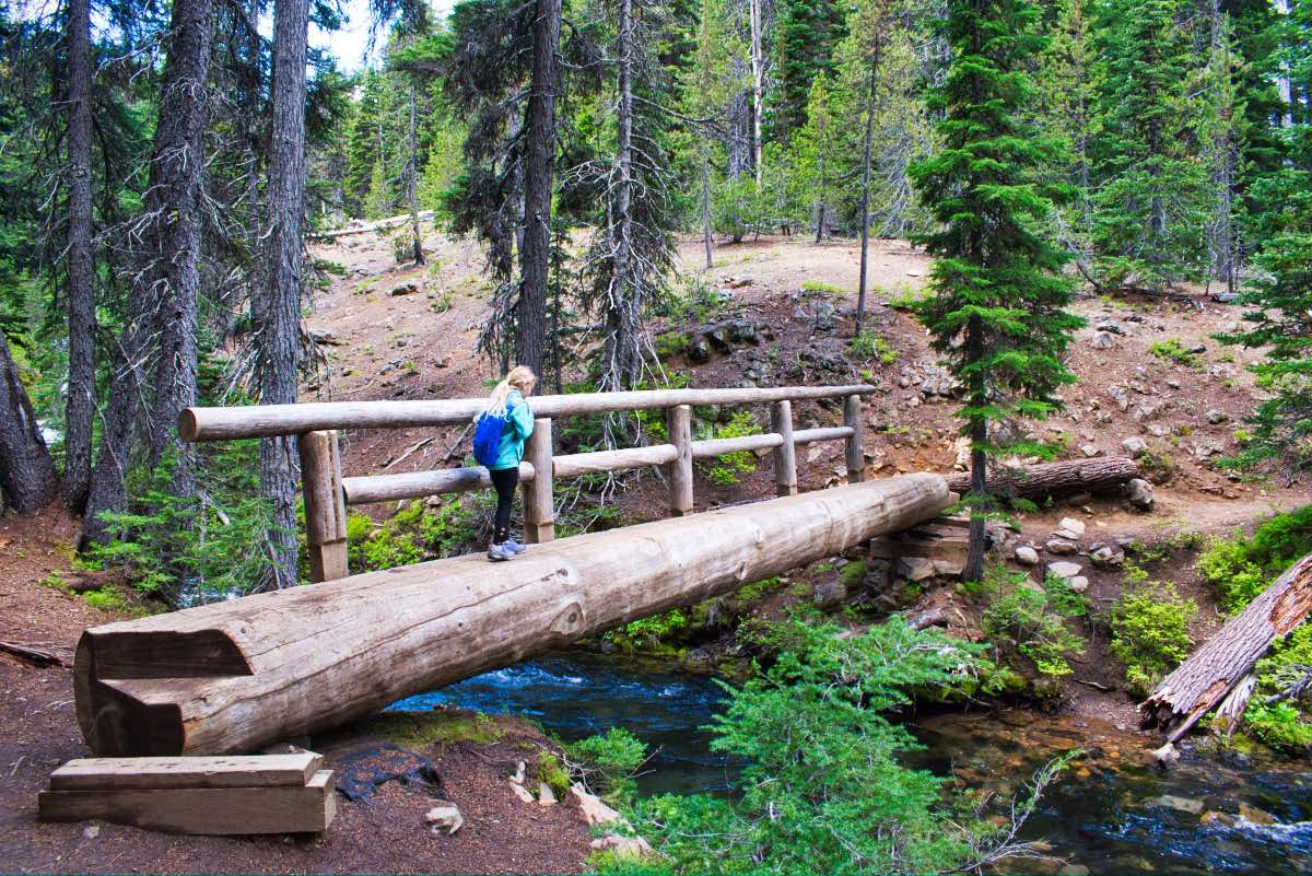 Tumalo Falls Loop Hike Image