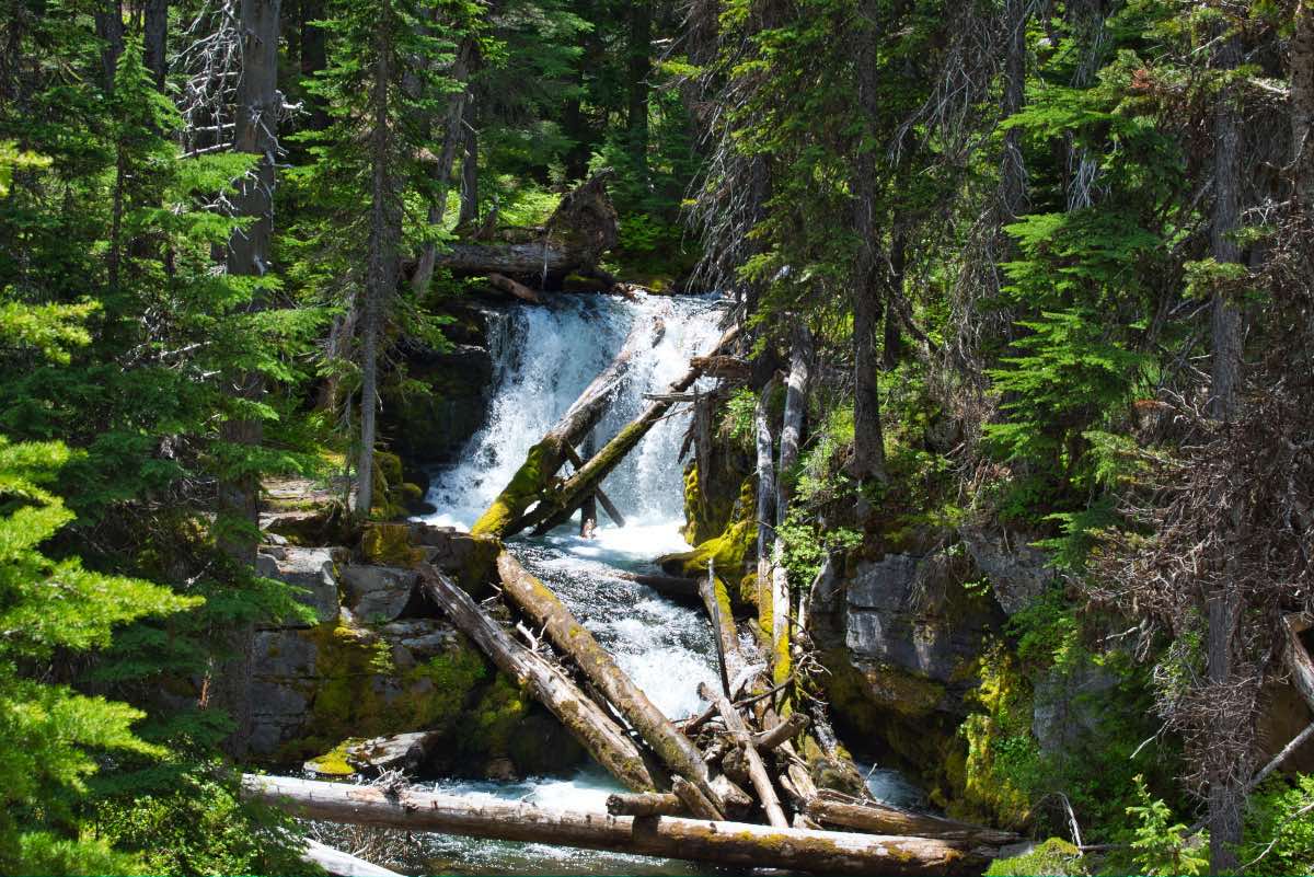 Tumalo Falls Loop Hike Image