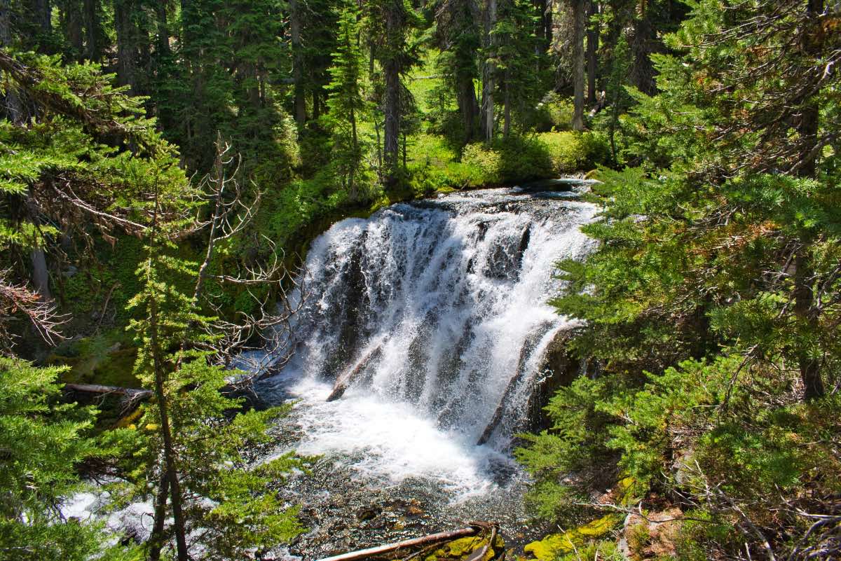 Tumalo Falls Loop Hike Image