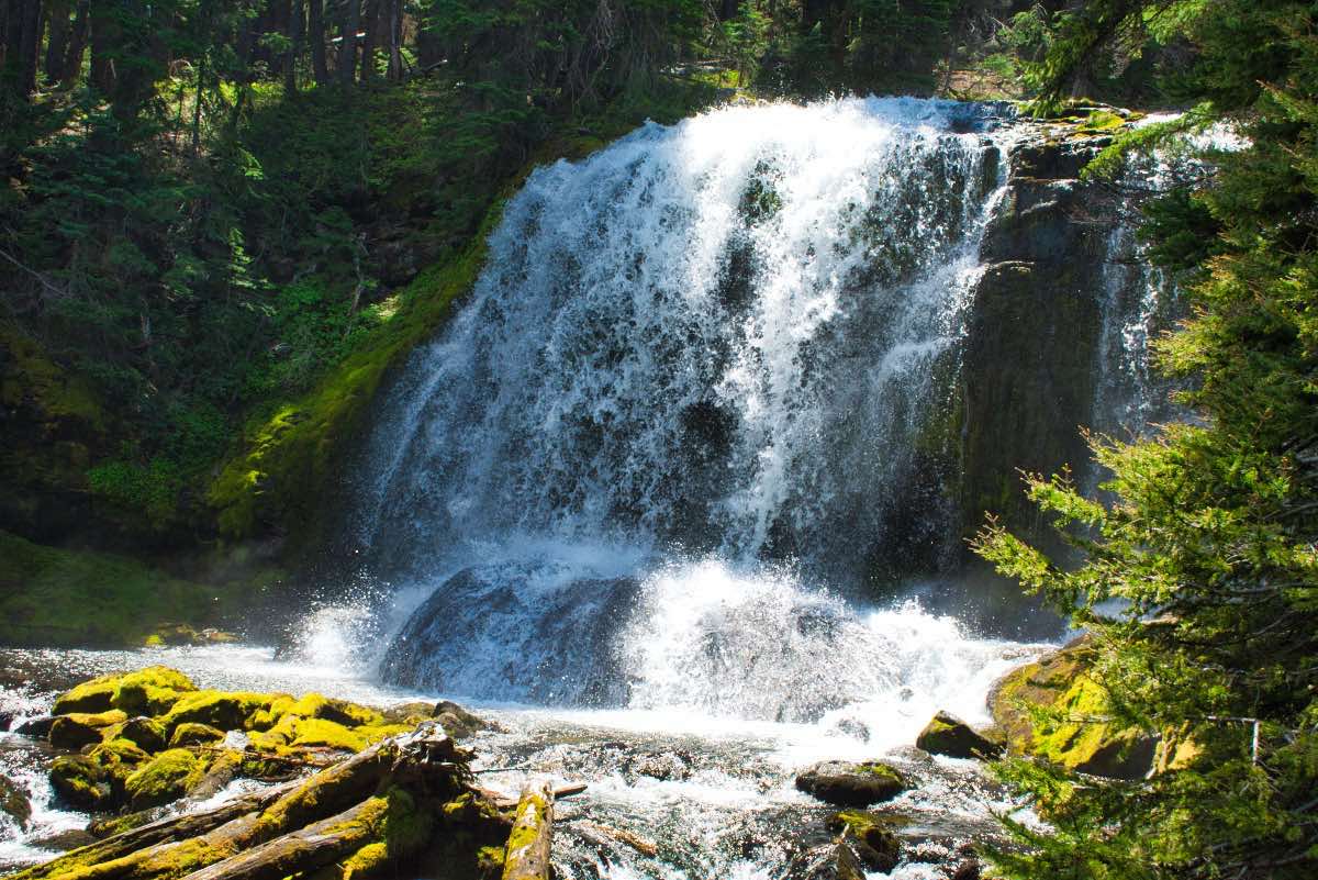 Tumalo Falls Loop Hike Image