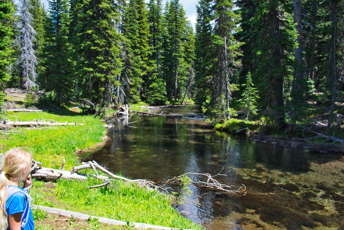Tumalo Falls Loop Hike Image
