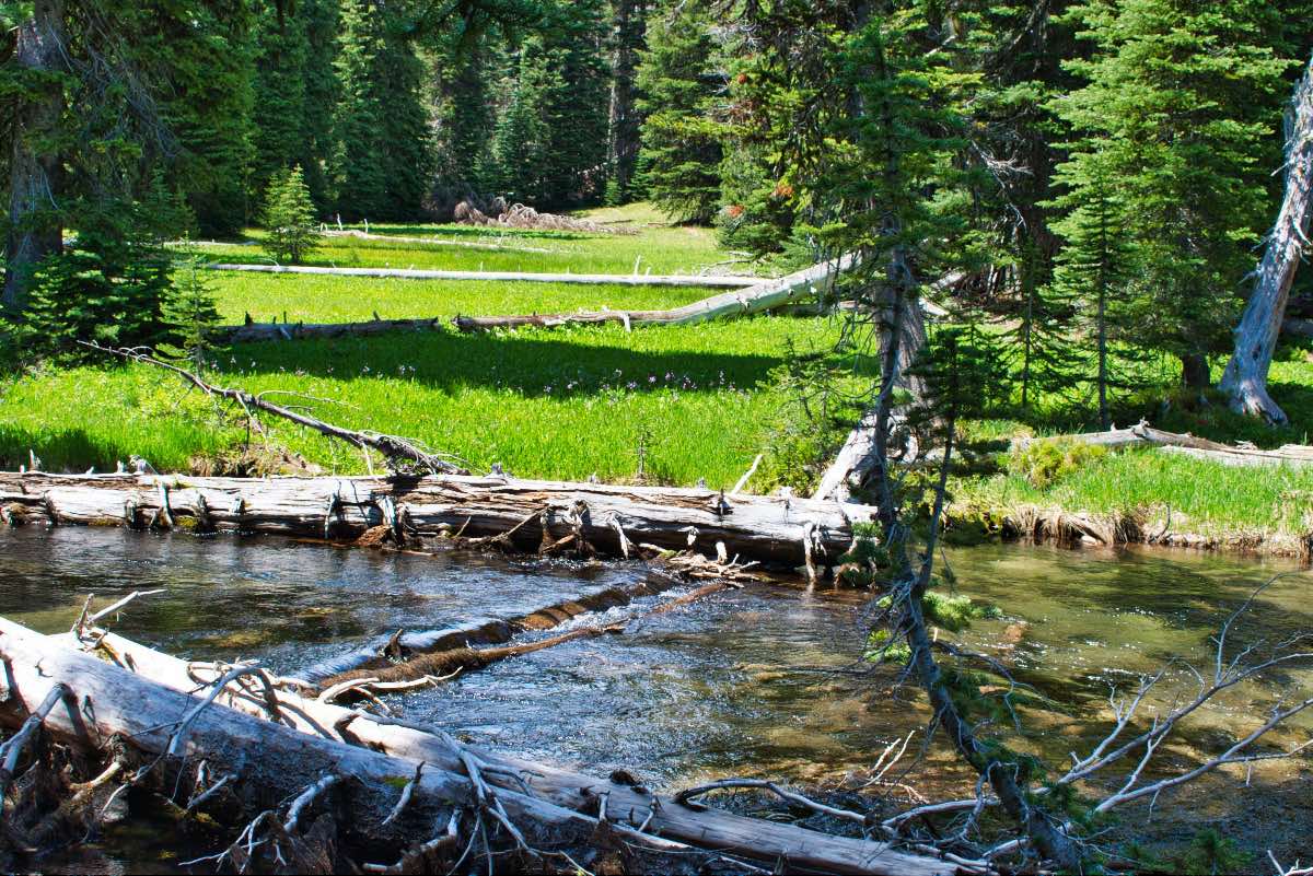 Tumalo Falls Loop Hike Image
