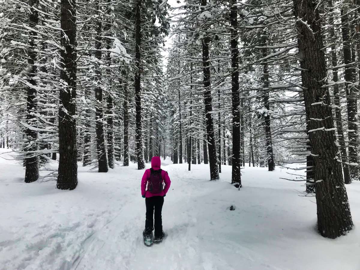 Tumalo Falls Hike Image