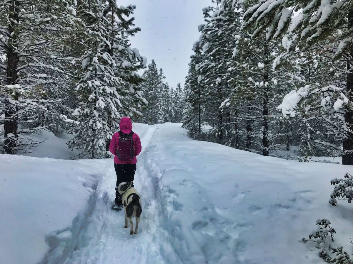 Tumalo Falls Hike Image
