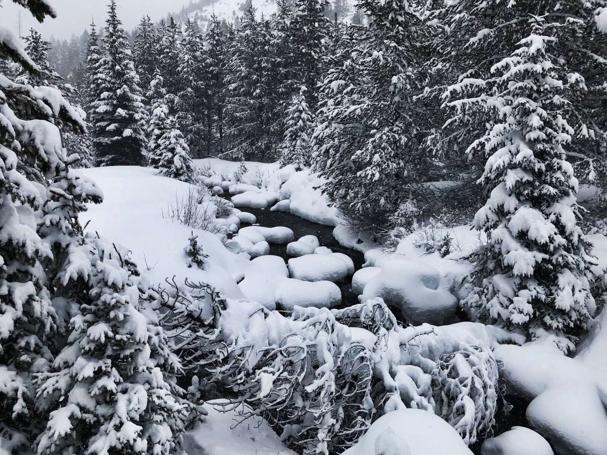 Tumalo Falls Hike Image