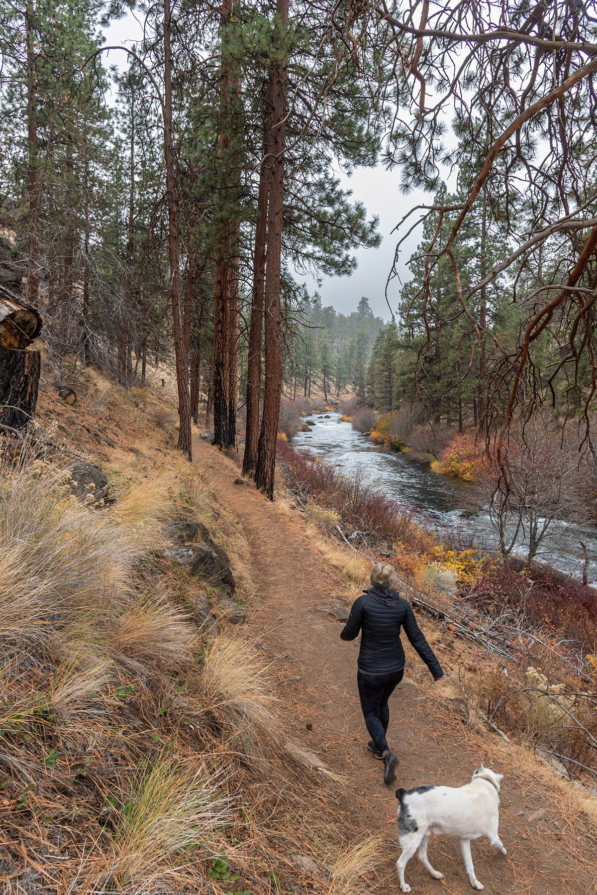 Tumalo State Park Hike Image