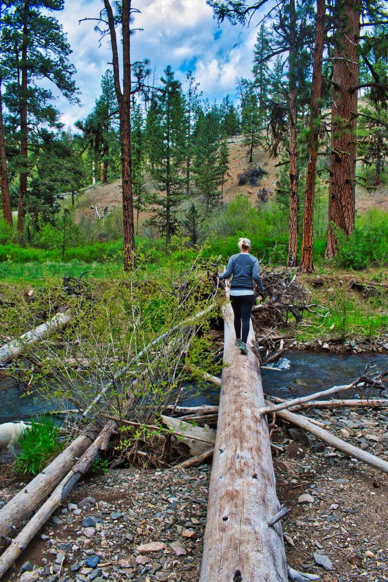 Twin Pillars Hike Image