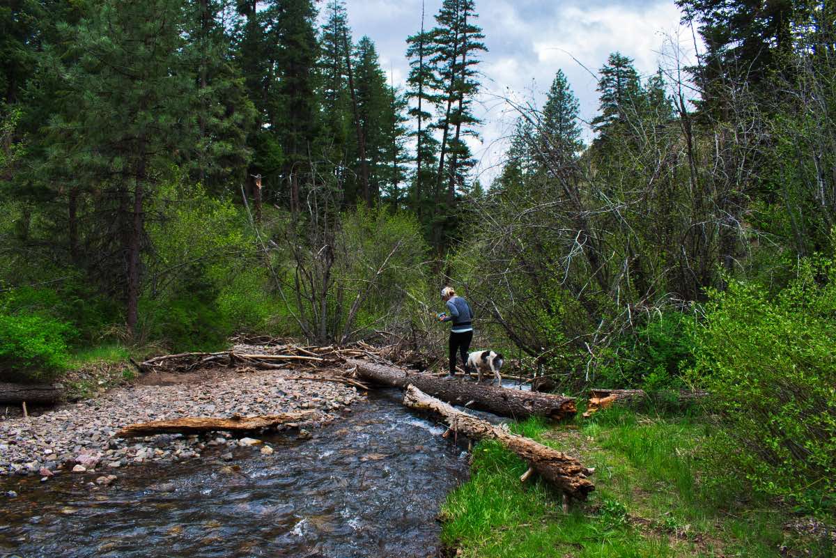 Twin Pillars Hike Image