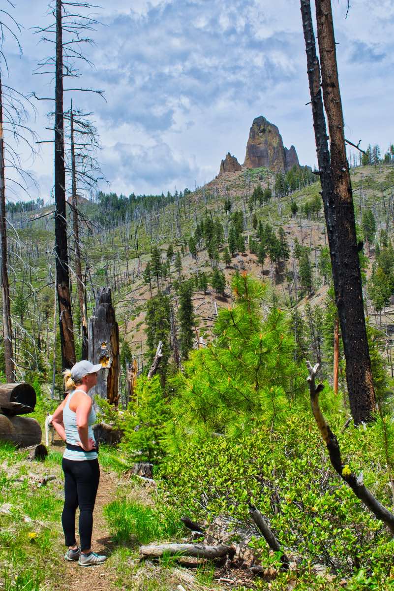 Twin Pillars Hike Image