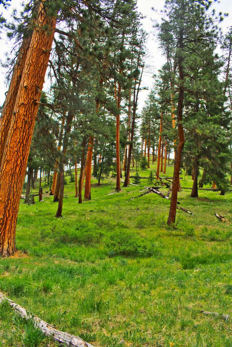 Twin Pillars Hike Image