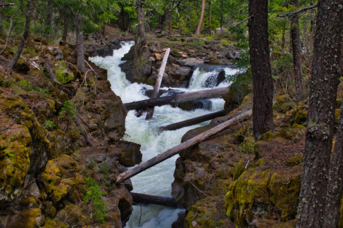 Upper Rogue Trail - Rogue Gorge to Natural Bridge Hike Image