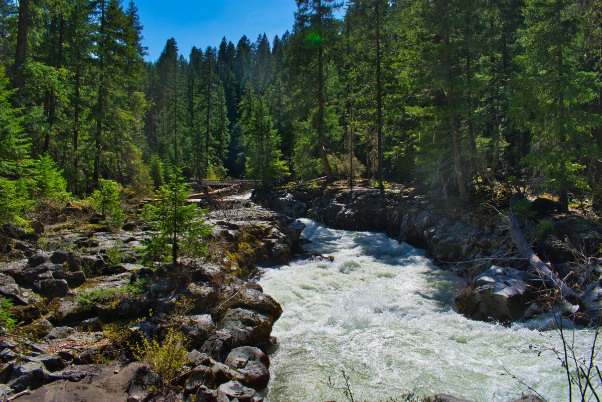 Upper Rogue Trail - Rogue Gorge to Natural Bridge Hike Image