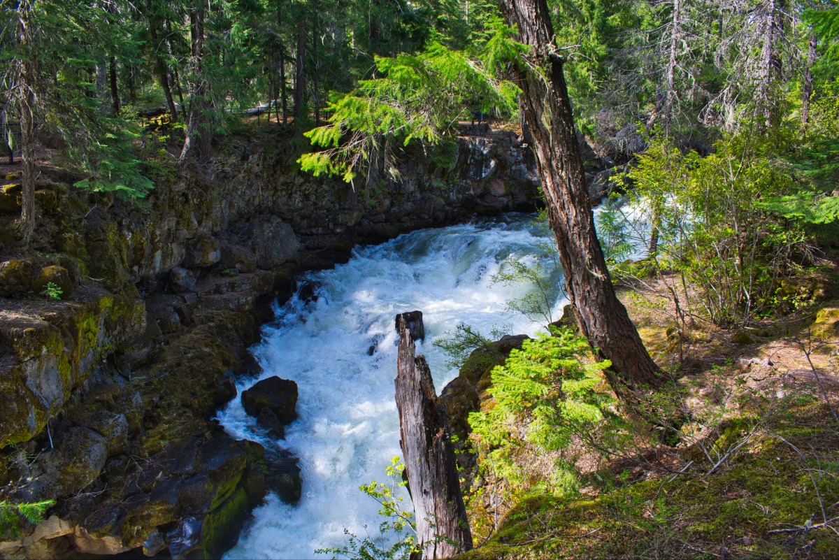 Upper Rogue Trail - Rogue Gorge to Natural Bridge Hike Image