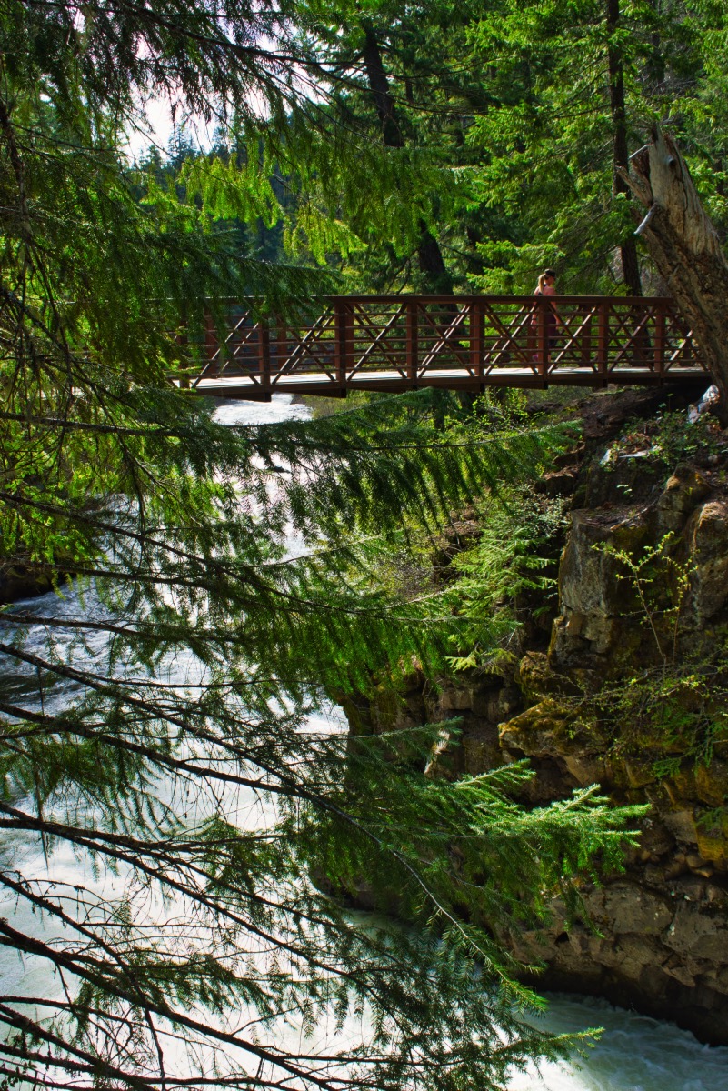 Upper Rogue Trail - Rogue Gorge to Natural Bridge Hike Image