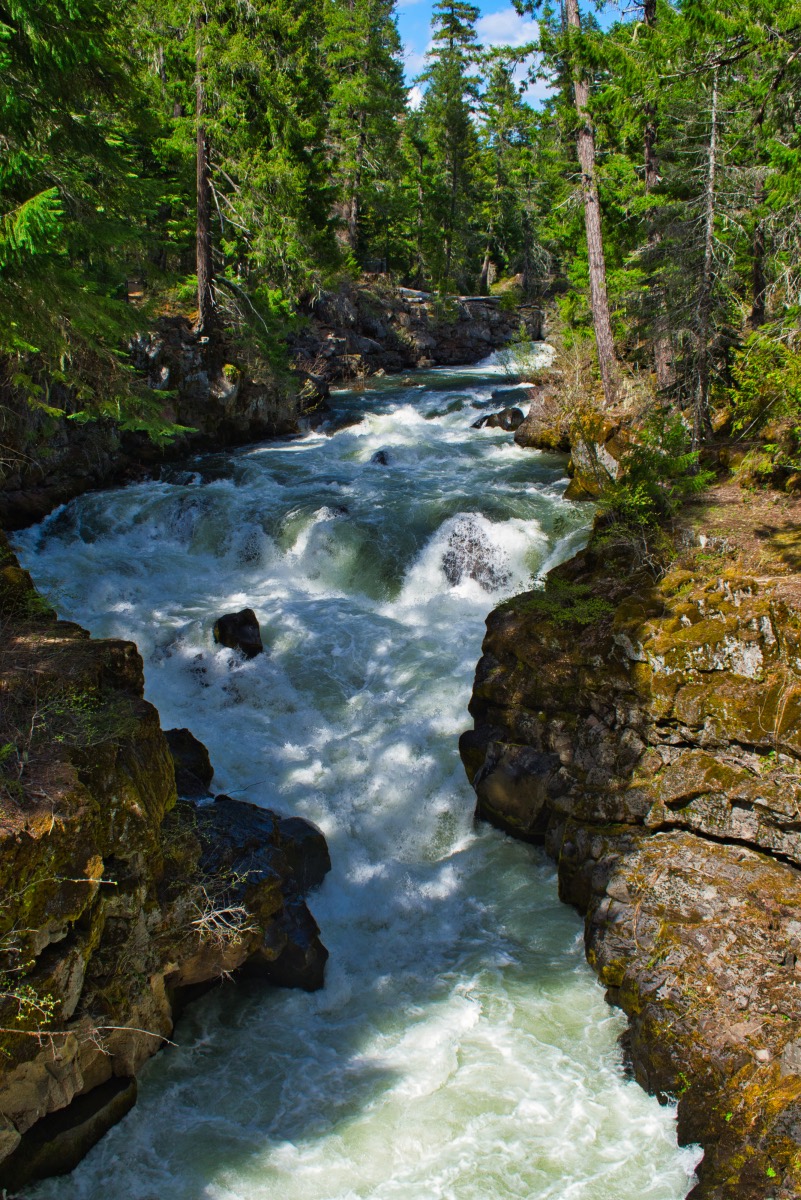 Upper Rogue Trail - Rogue Gorge to Natural Bridge Hike Image