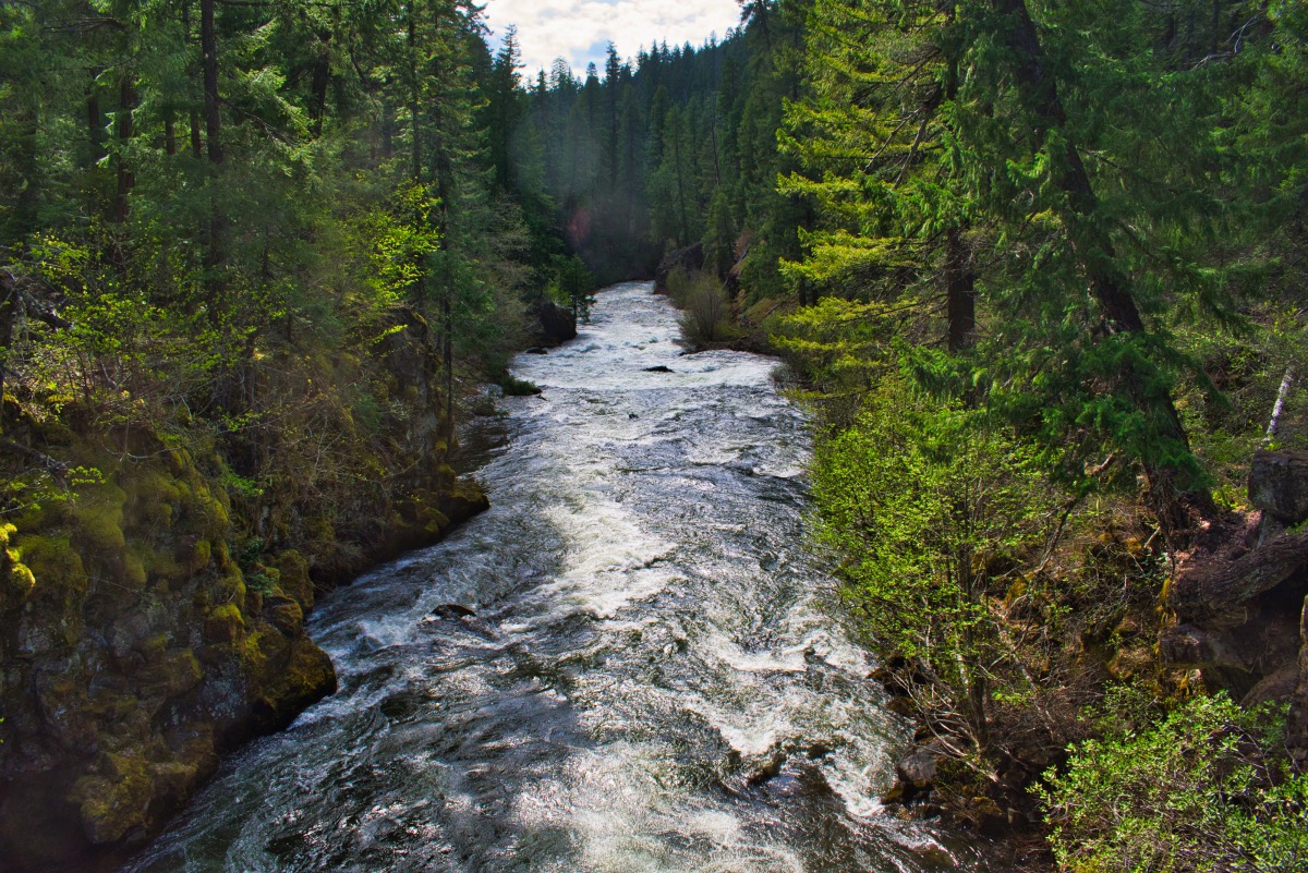 Upper Rogue Trail - Rogue Gorge to Natural Bridge Hike Image