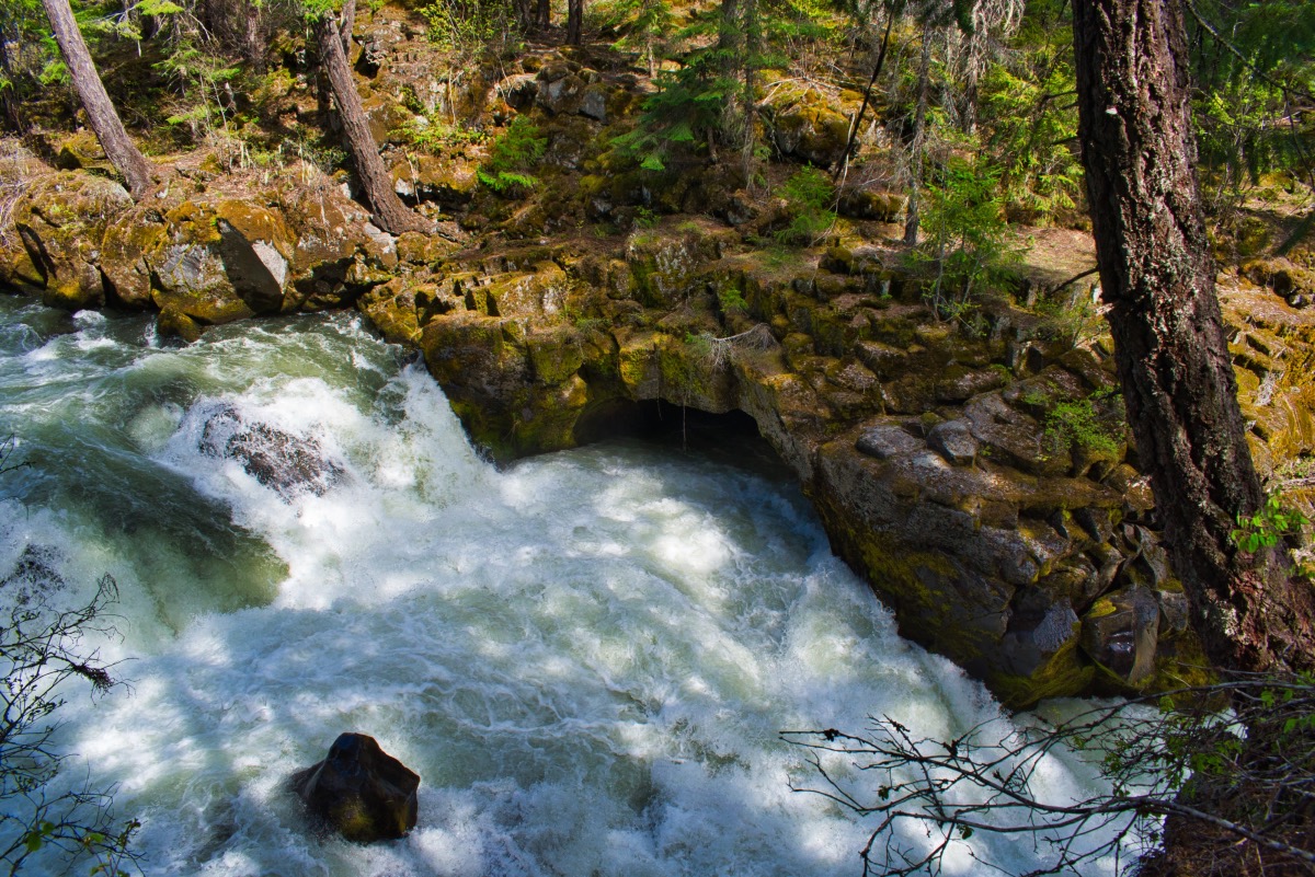 Upper Rogue Trail - Rogue Gorge to Natural Bridge Hike Image