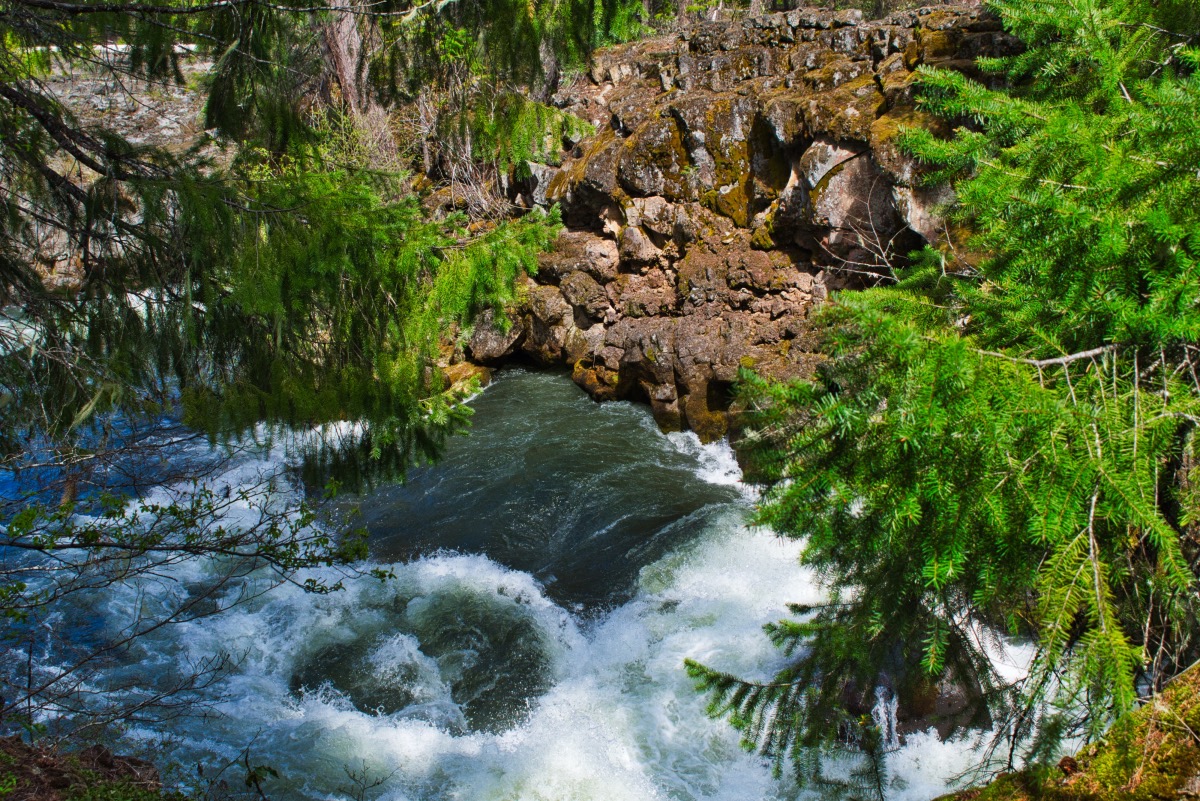Upper Rogue Trail - Rogue Gorge to Natural Bridge Hike Image