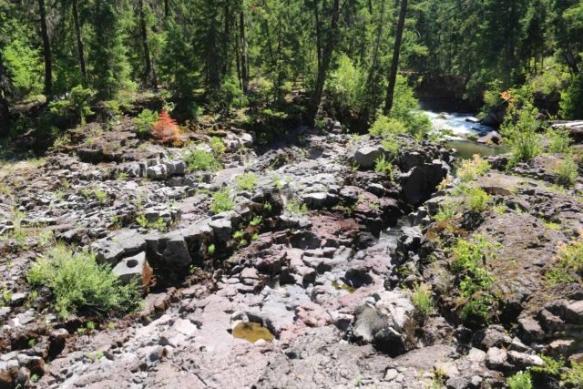 Upper Rogue Trail - Rogue Gorge to Natural Bridge Hike Image