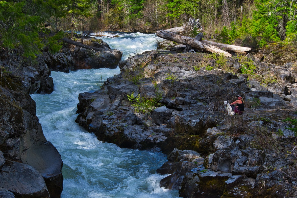 Upper Rogue Trail - Rogue Gorge to Natural Bridge Hike Image